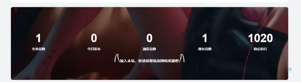 子比主题网站添加底部统计信息模块小工具-黔客侠