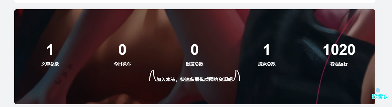 子比主题网站添加底部统计信息模块小工具-黔客侠